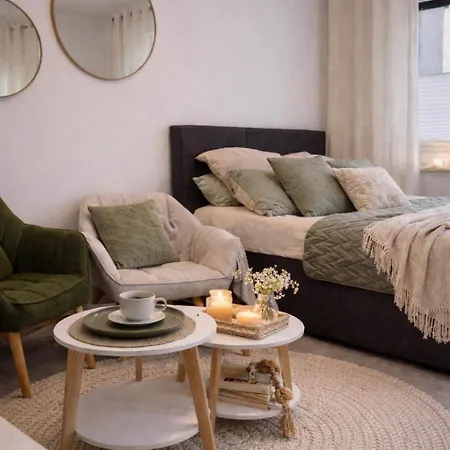 Komfort-apartment Fuer Geschaefts- & Staedtereisen 公寓 *