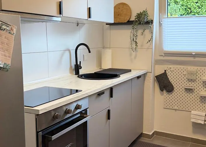 Komfort-apartment Fuer Geschaefts- & Staedtereisen Διαμέρισμα Έσσεν
